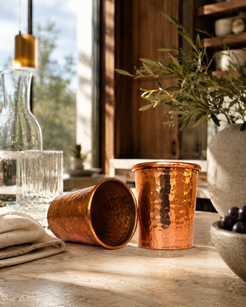 Copper Shot Glass Tumbler Set of 2